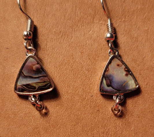 Multicolor Earrings
